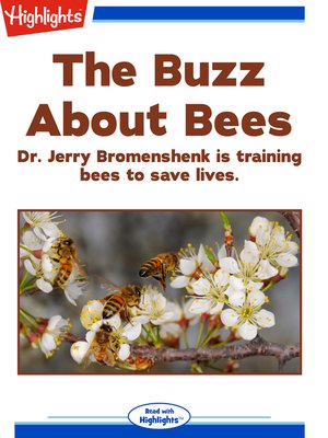 cover image of The Buzz About Bees